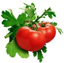 organic_tomatoes.jpg