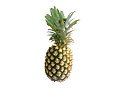 pineapple_01_01.jpg